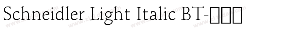 Schneidler Light Italic BT字体转换